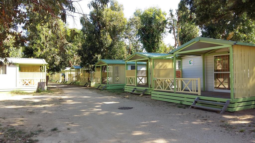 Le Camping De La Plage Aregno Dış mekan fotoğraf