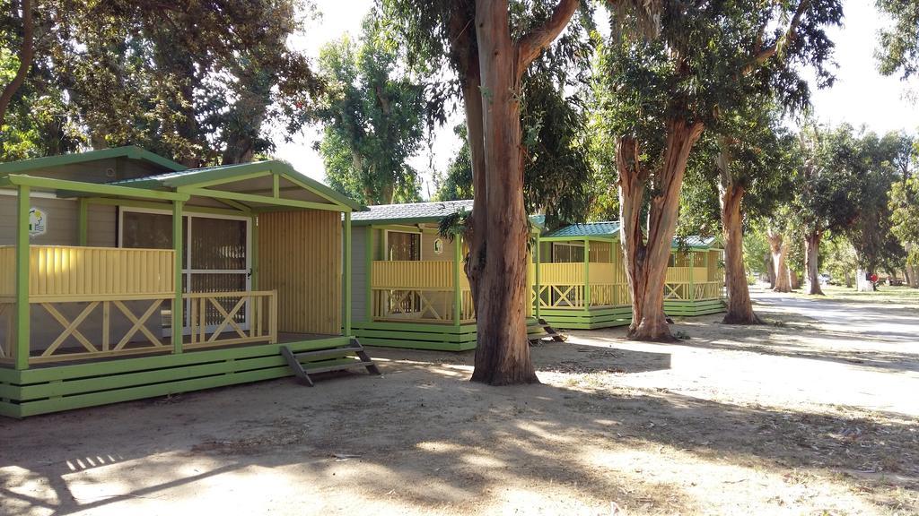 Le Camping De La Plage Aregno Dış mekan fotoğraf