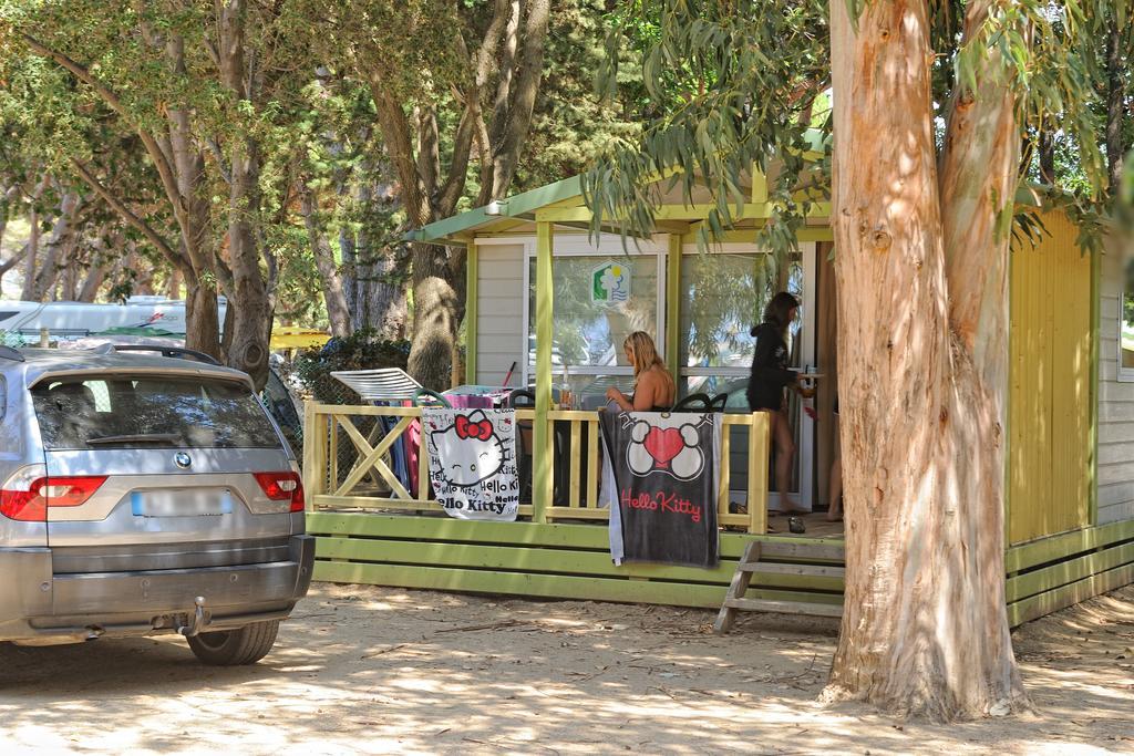 Le Camping De La Plage Aregno Dış mekan fotoğraf